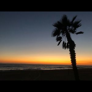 Meet your Posher, Leila